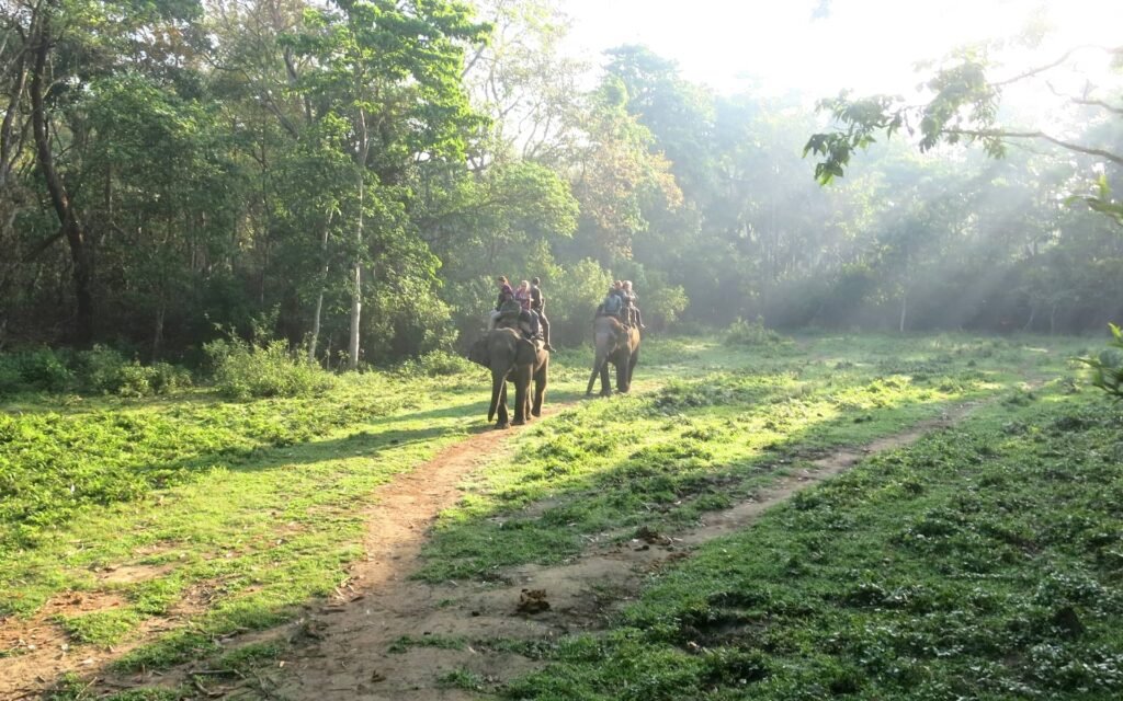 chitwan tour package